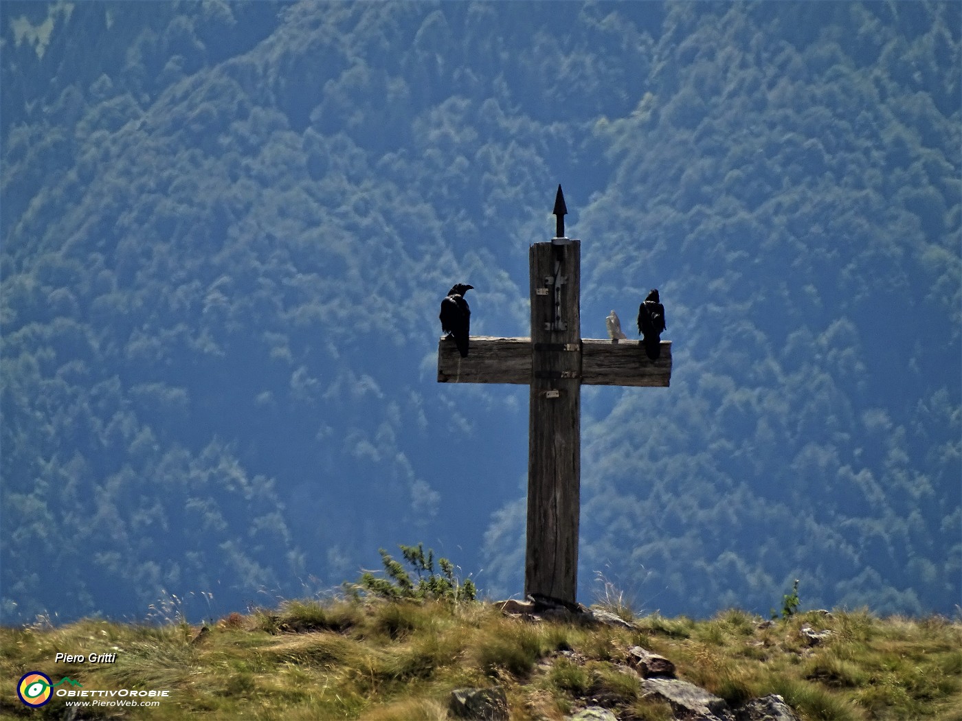 70 Sul braccio della croce appollaiate due cornacchie  .JPG